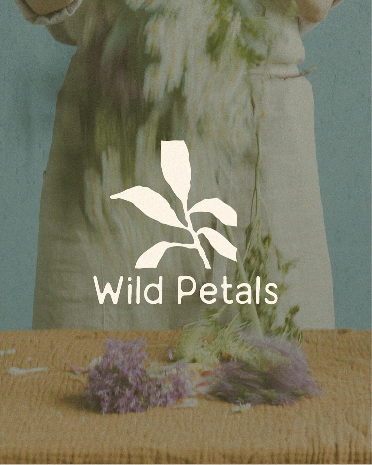 Sharing a brand design for Wild Petals. This brand identity features a hand drawn logo and earthy color palette. 

Would you like a brand like this one? Get in touch and let&rsquo;s chat about how a So Swell Studio brand package can get your business