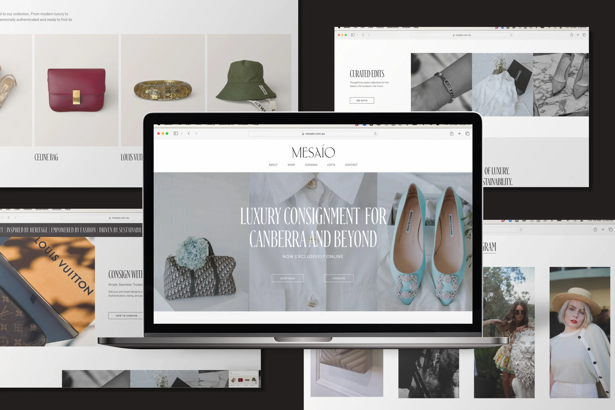 Examples of Mesaio website pages