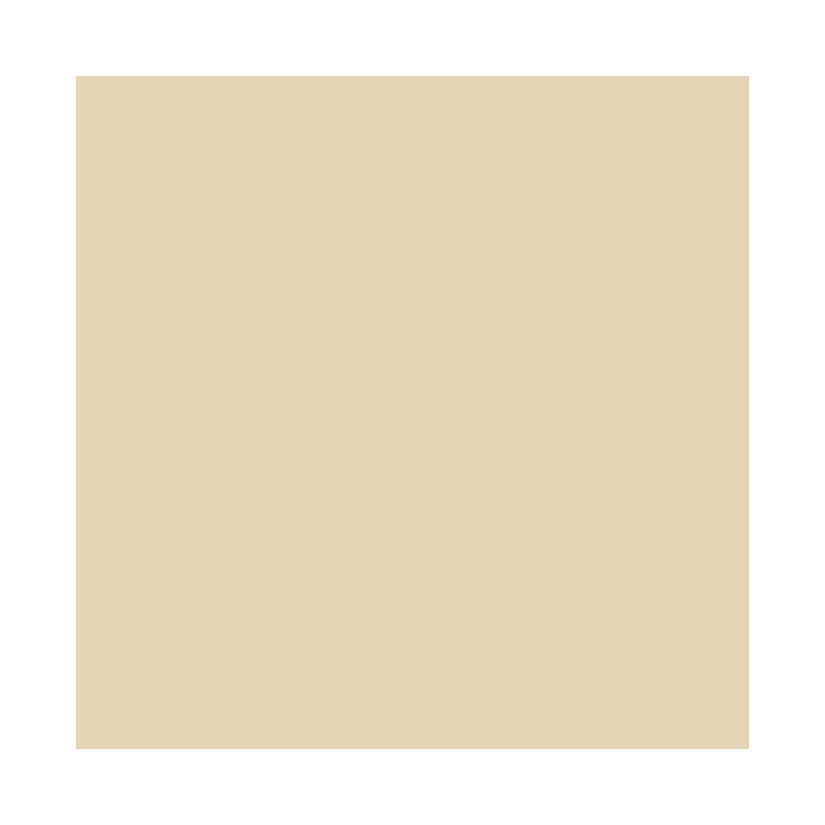 orange colored white.png
