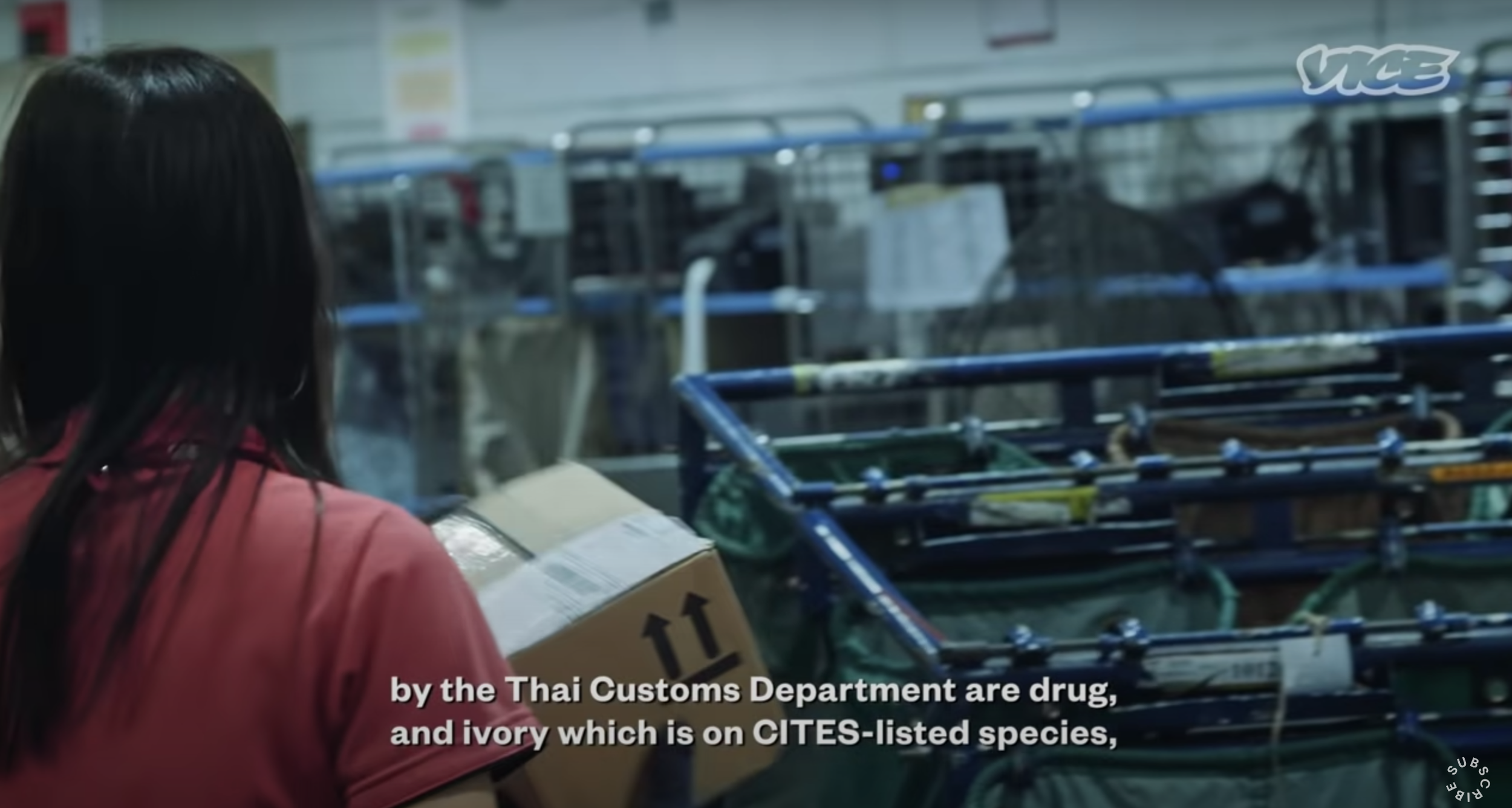 Thailand's Illegal Sex Toy Market Is Booming11 .png