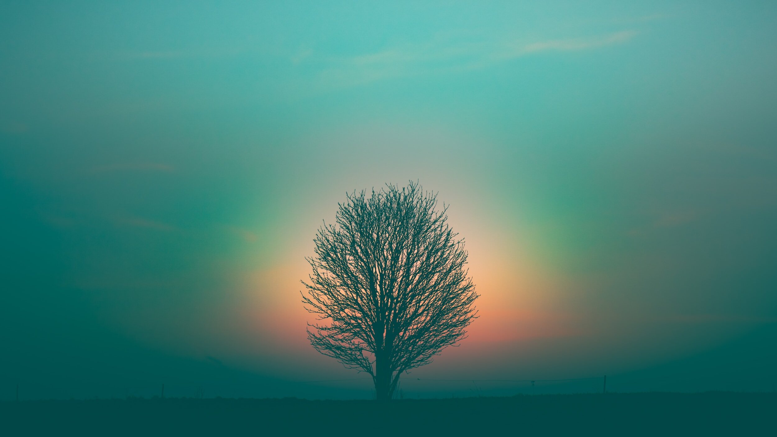 Meet Your Spirit Guides: Channeled Messages with Spirit