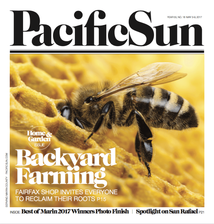 Pacific Sun Feature