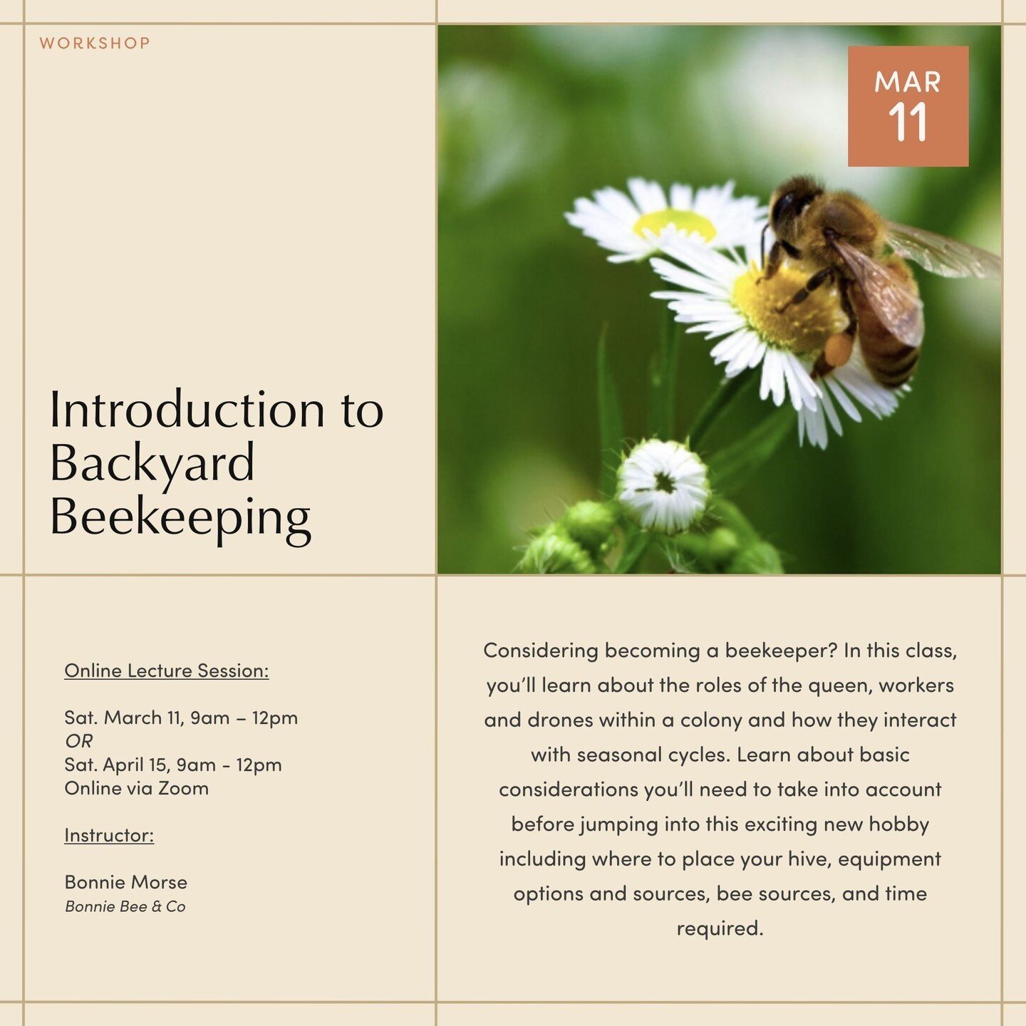 Considering becoming a beekeeper? 🍯🌸🐝
In this class, you&rsquo;ll learn about the roles of the queen, workers and drones within a colony and how they interact with seasonal cycles. Learn about basic considerations you&rsquo;ll need to take into ac