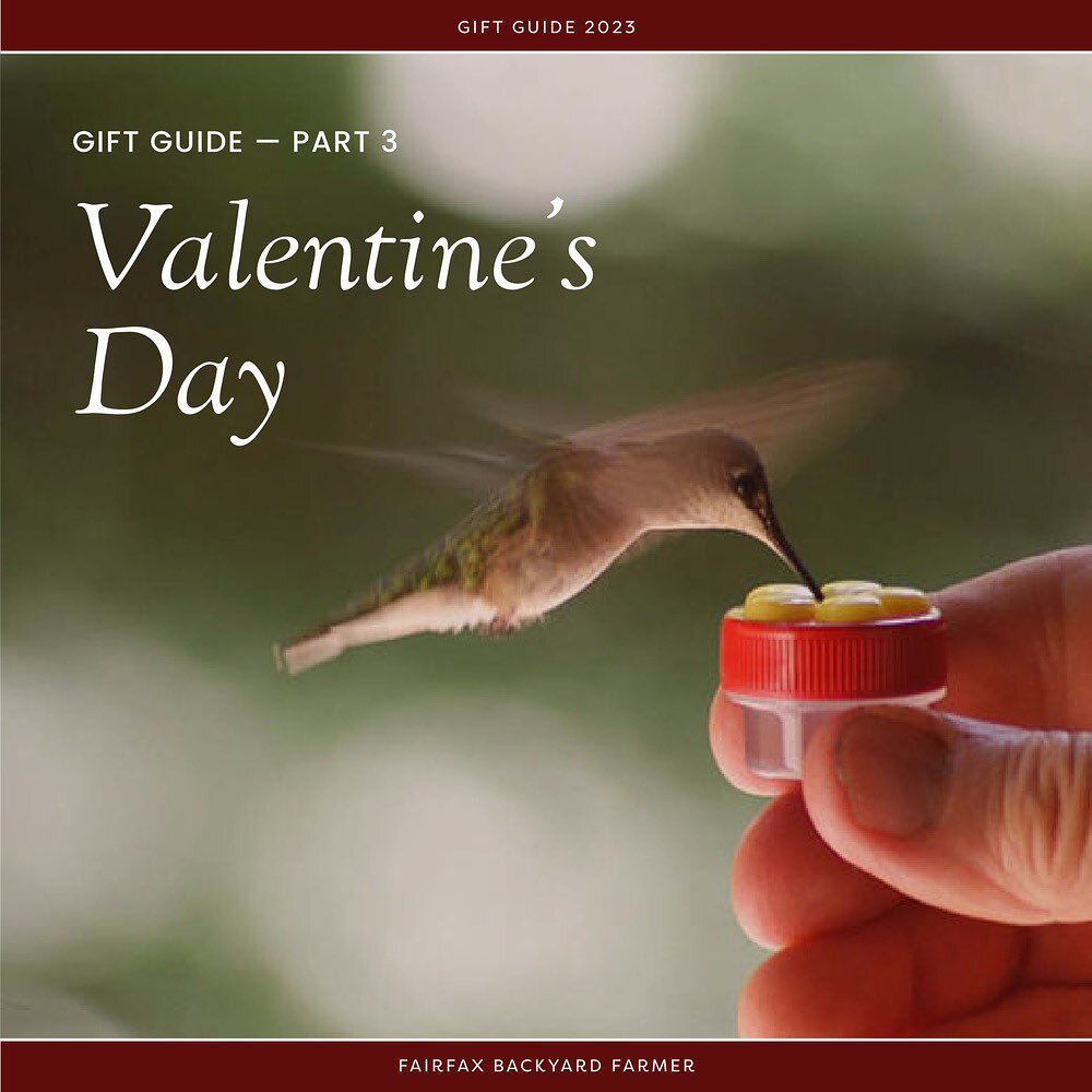 Valentine's Gift Guide &mdash; Part 3! 💗

For this year's Valentine&rsquo;s Day Gift Guide, we&rsquo;ve pulled together a collection of our favorite feel-good gifts to share with a loved one. Choose a sweet treat of locally harvested honey for your 