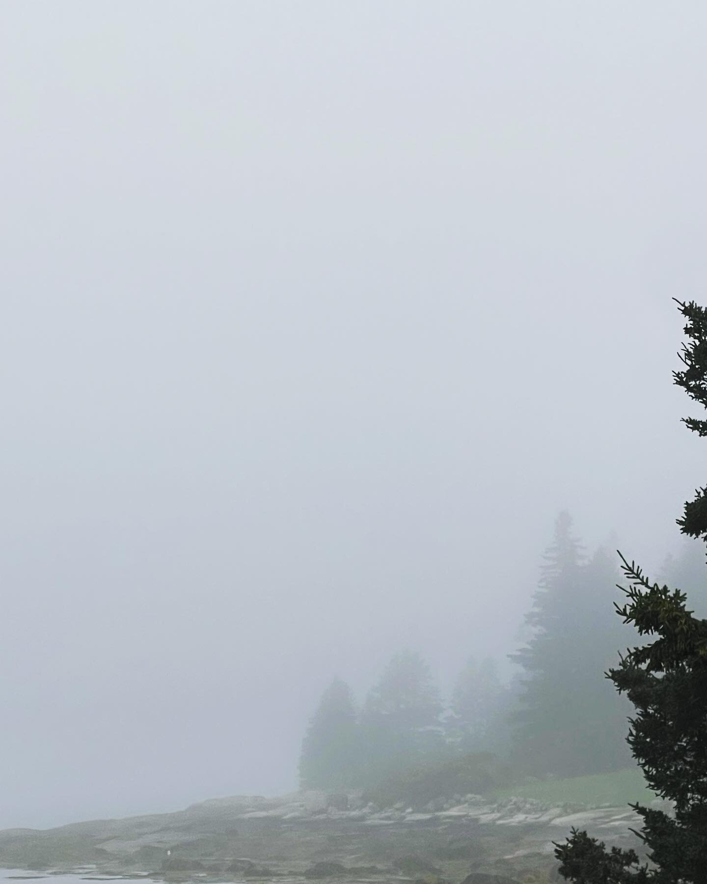 Summer Fog
.
.
#vinalhaven #peascove #maine #summer #vacation #timeout #family #friends #home #backtonature #nature #simplepleasures #grateful #restore