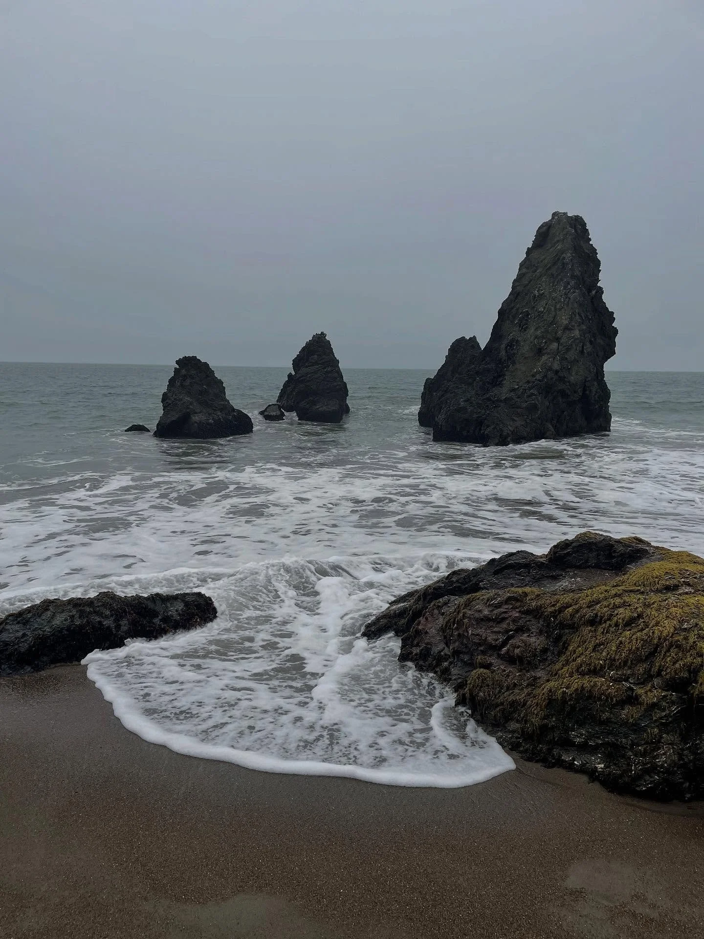 Summer photo dump from west to east. Have been terrible about taking pics and social media lately but managed to get a few keepers. With the world the way it is these days, I feel especially grateful for friends, family, lovely clients and design pro