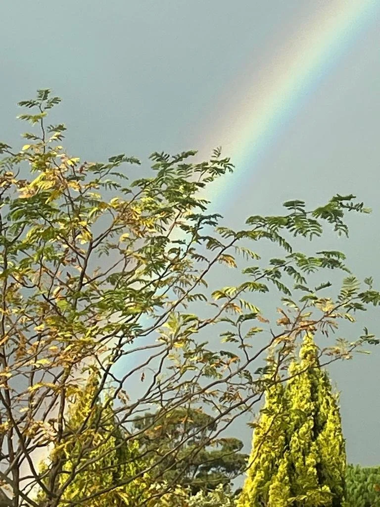 New Class: Body, Breath &amp; Mind