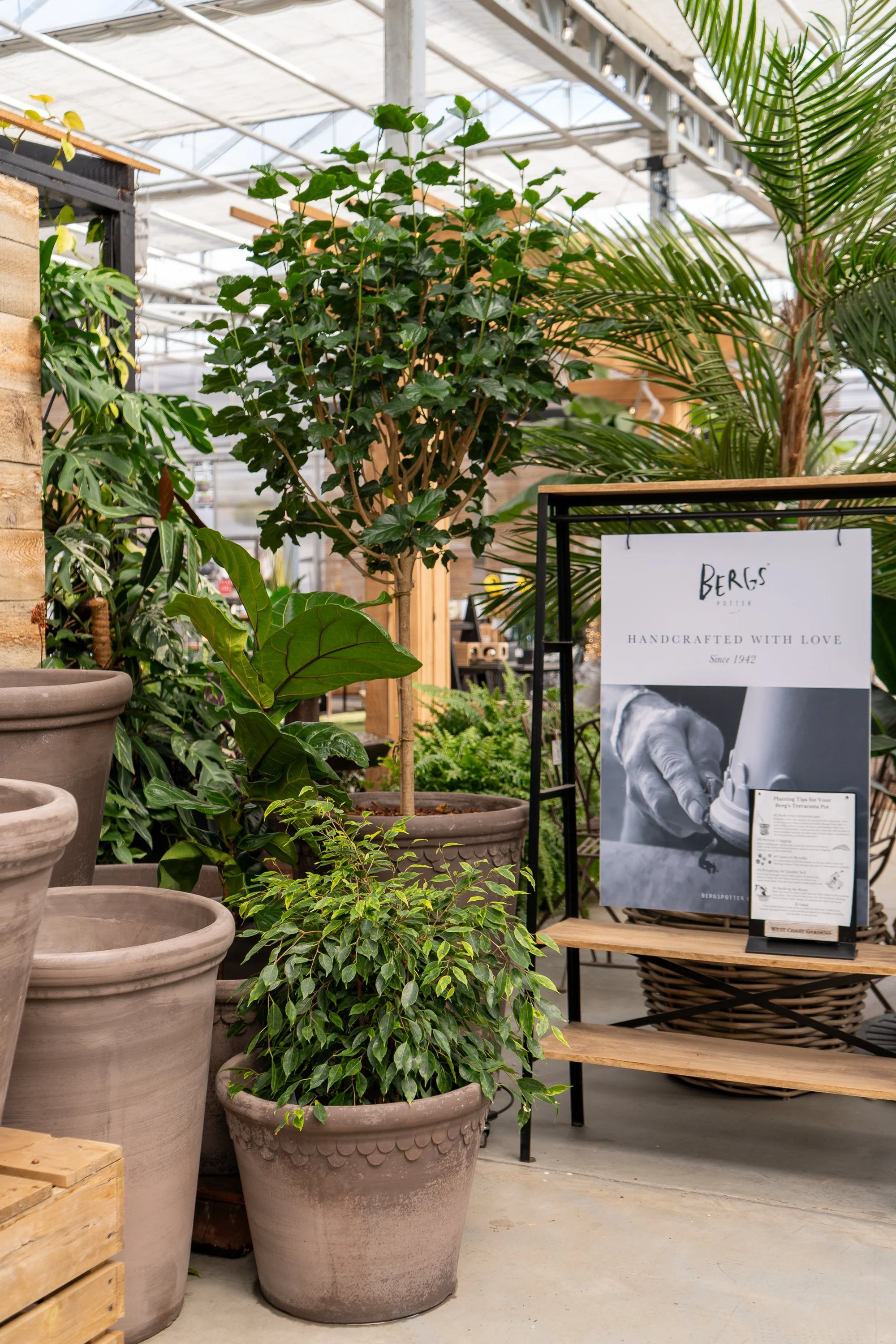 Interior view of a plant shop with large potted plants, including a tall ivy in a brown pot, a fiddle leaf fig, and a palm. A black and white sign advertising Berks, a handcrafted product, is visible.