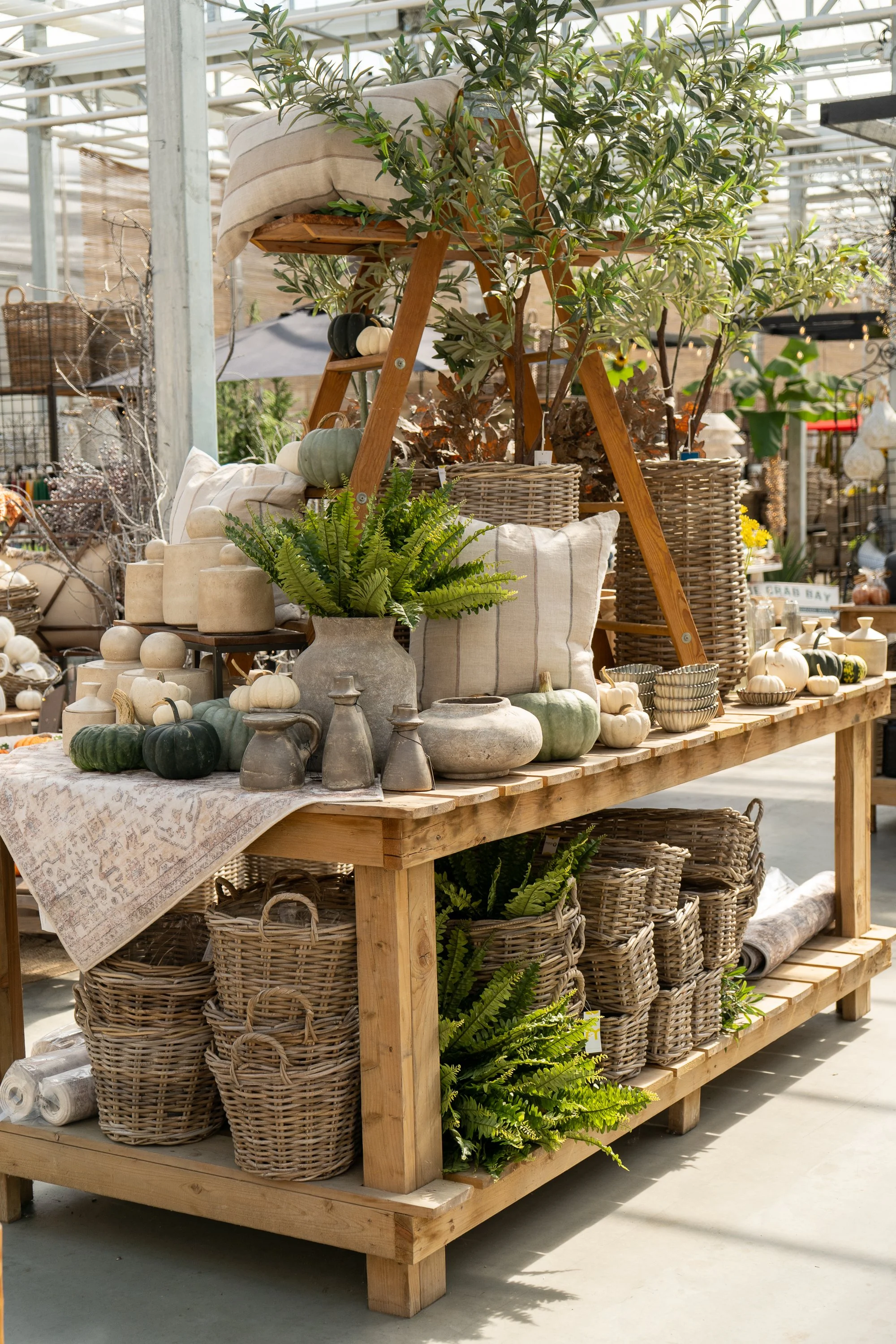 A rustic wooden display table in a greenhouse with decorative pumpkins, candelabra, pottery, pillows, and greenery, including ferns and small trees, presented for sale or decoration.
