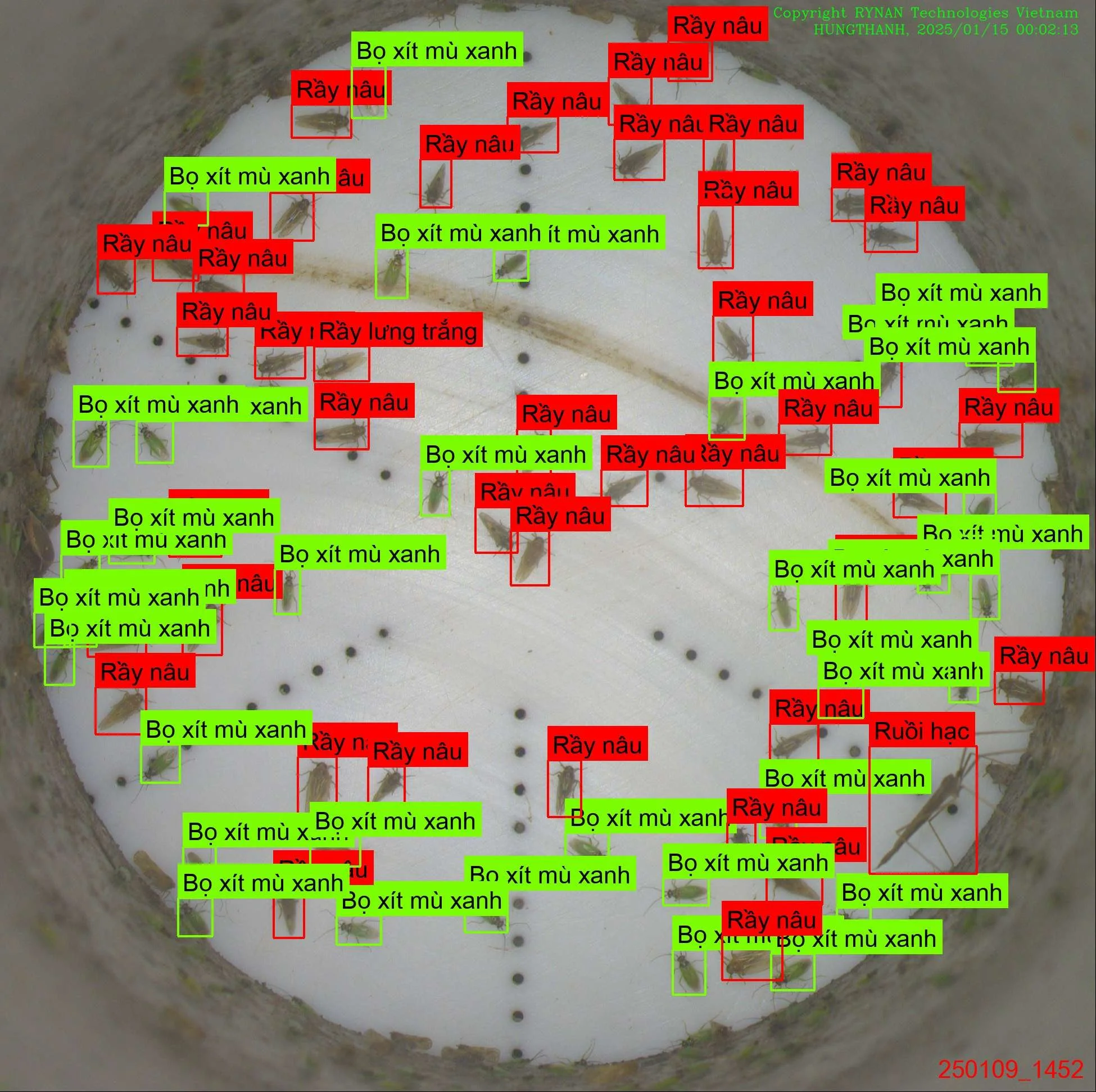 250115_000213_T0053_Predicted.jpg
