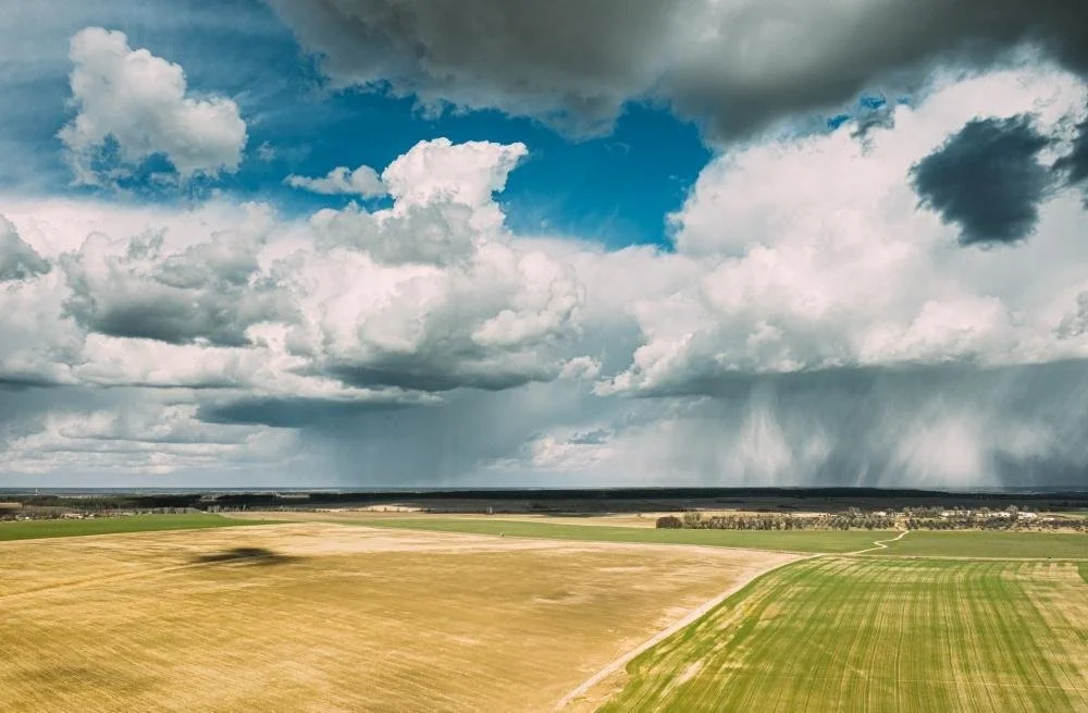 How to Leverage Weather Monitoring for Precision Agriculture