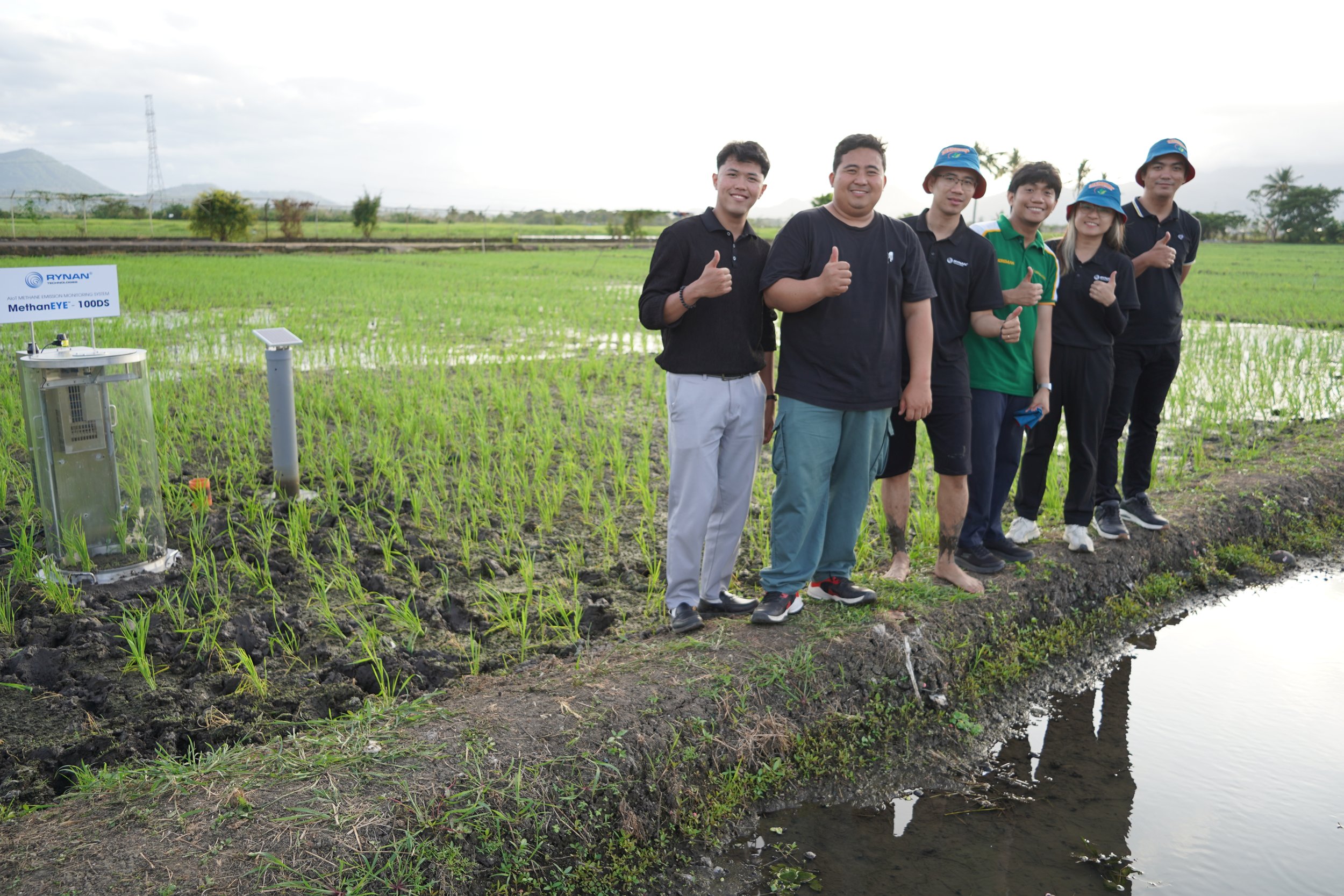 Strategies for Maximizing Rice Yield: Addressing Key Environmental and Management Factors