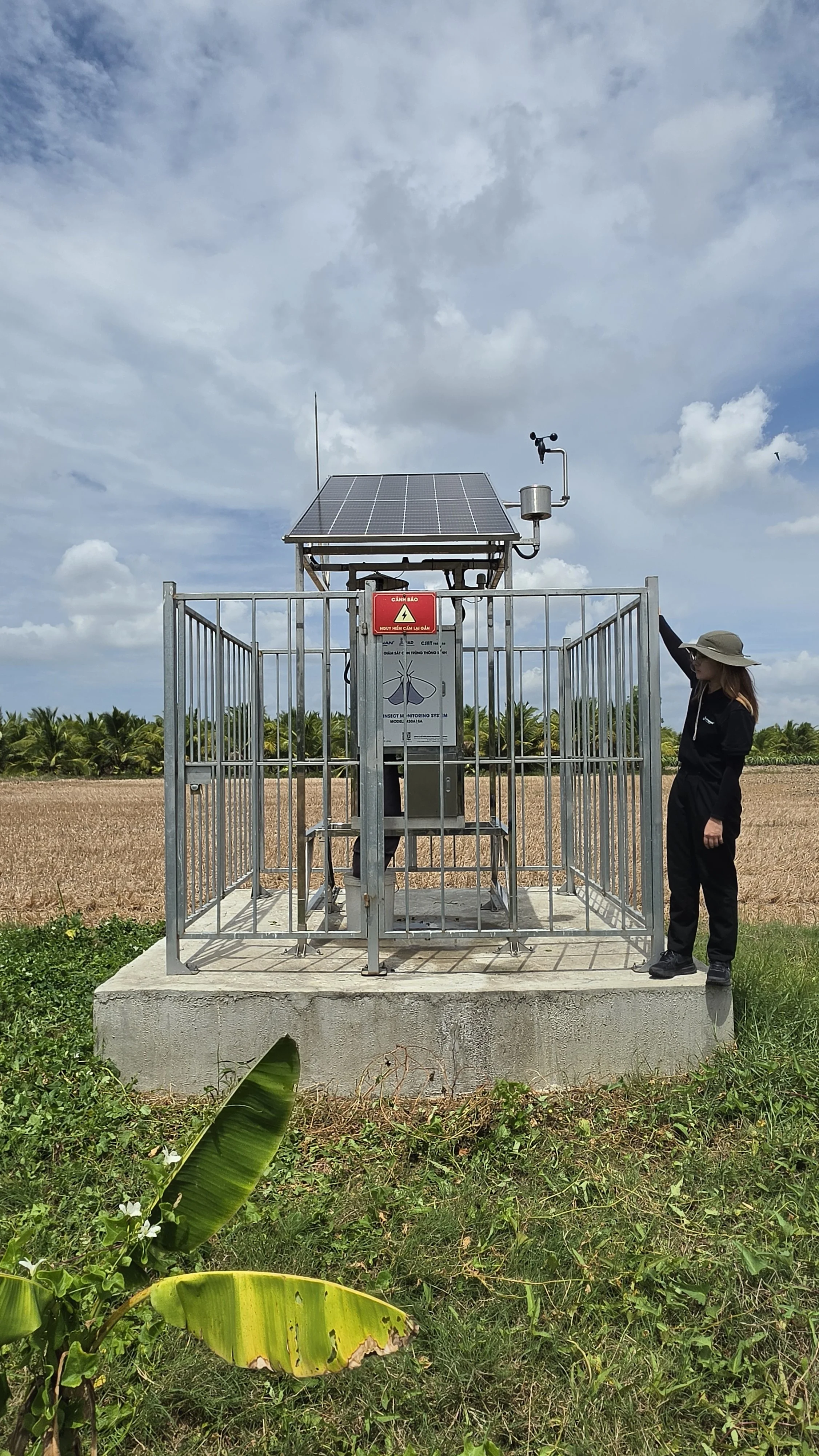 An AI-powered pollination project to support sustainable fruit farming in Vietnam 