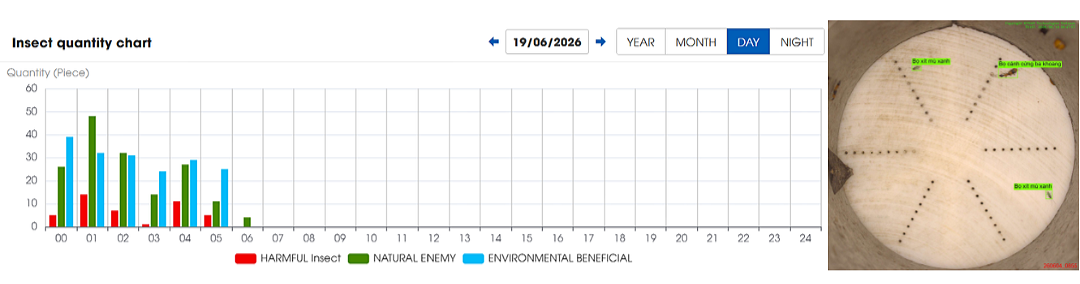 RYNAN Agriculture - Graph of insect count recorded by one of the Insect Monitoring Systems in the An Giang Province