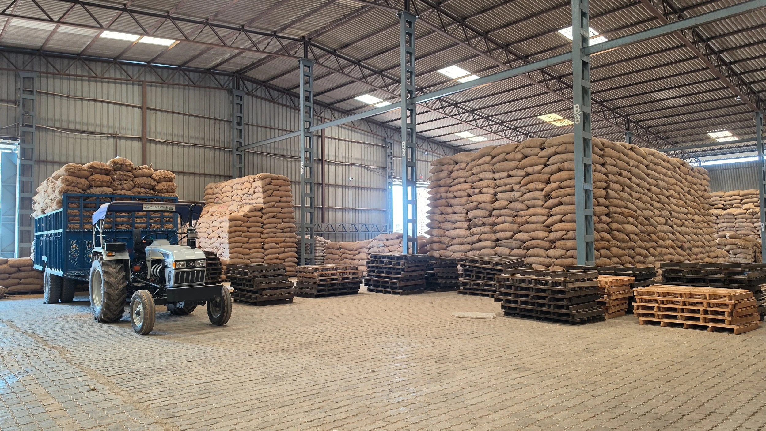 Fortune Rice's paddy warehouse