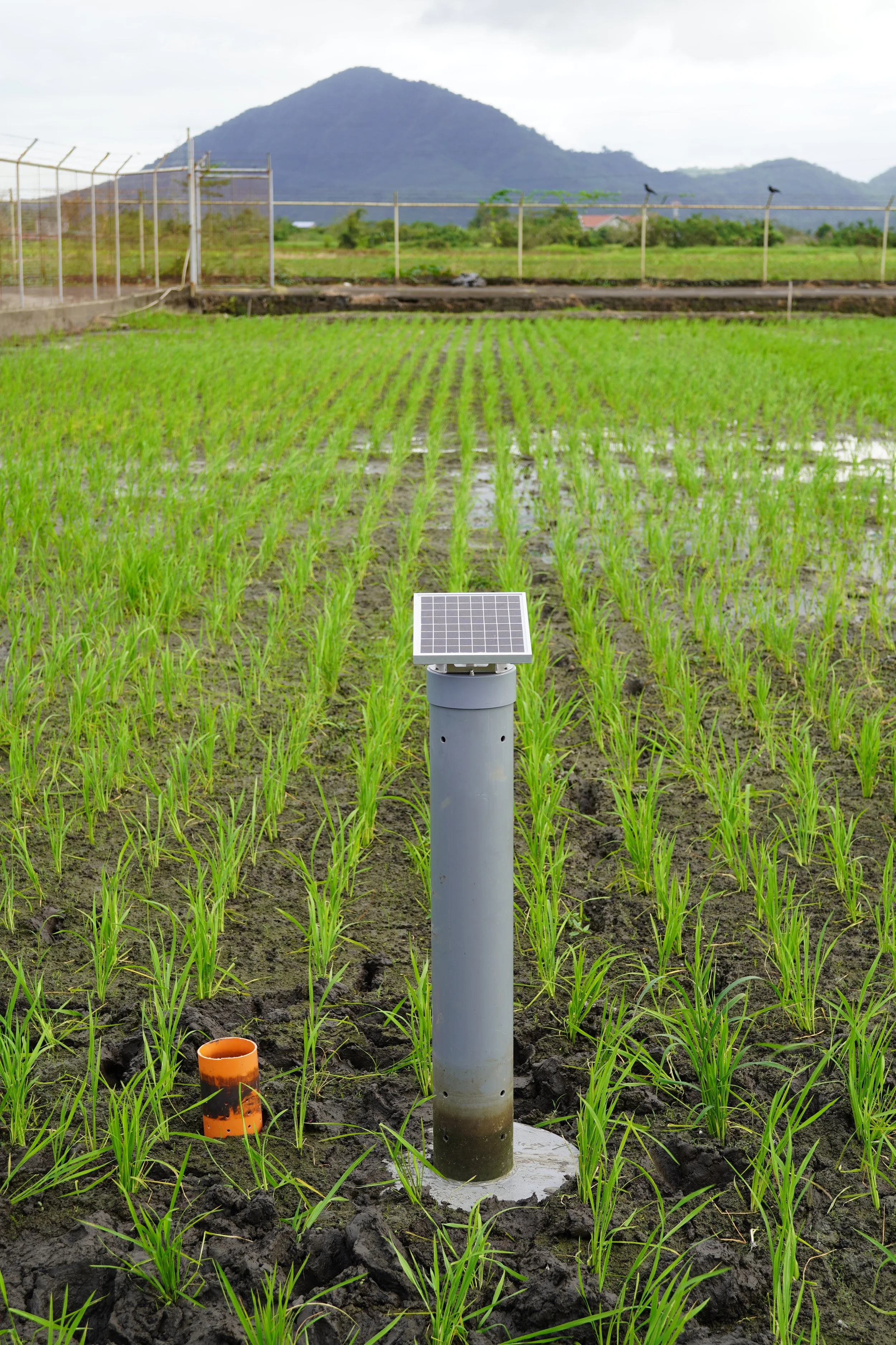 RYNAN AWD+ automated water level monitoring system for precision irrigation in rice fields
