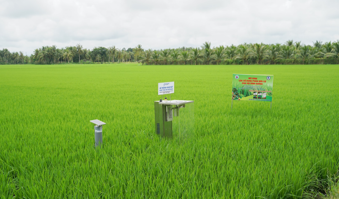 Awd Rice Eh Digitalised AWD Technology Transforming Rice Production — RYNAN Agriculture