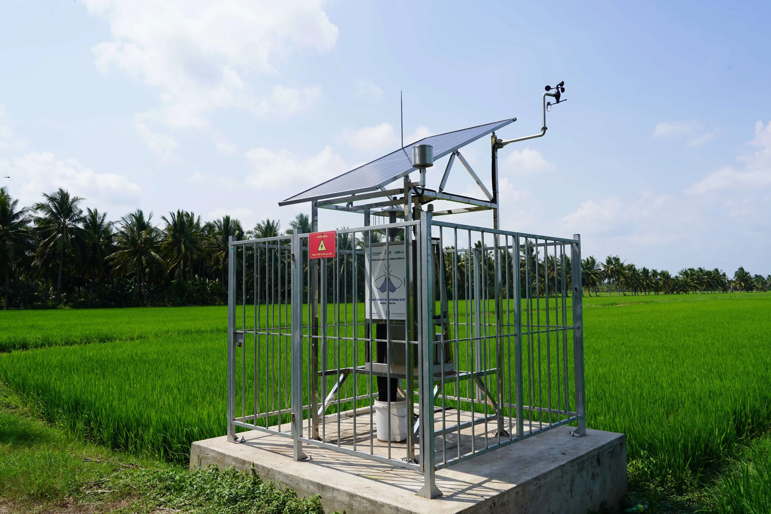 RYNAN’s Insect Monitoring System (IMS) in Thanh My, Vietnam