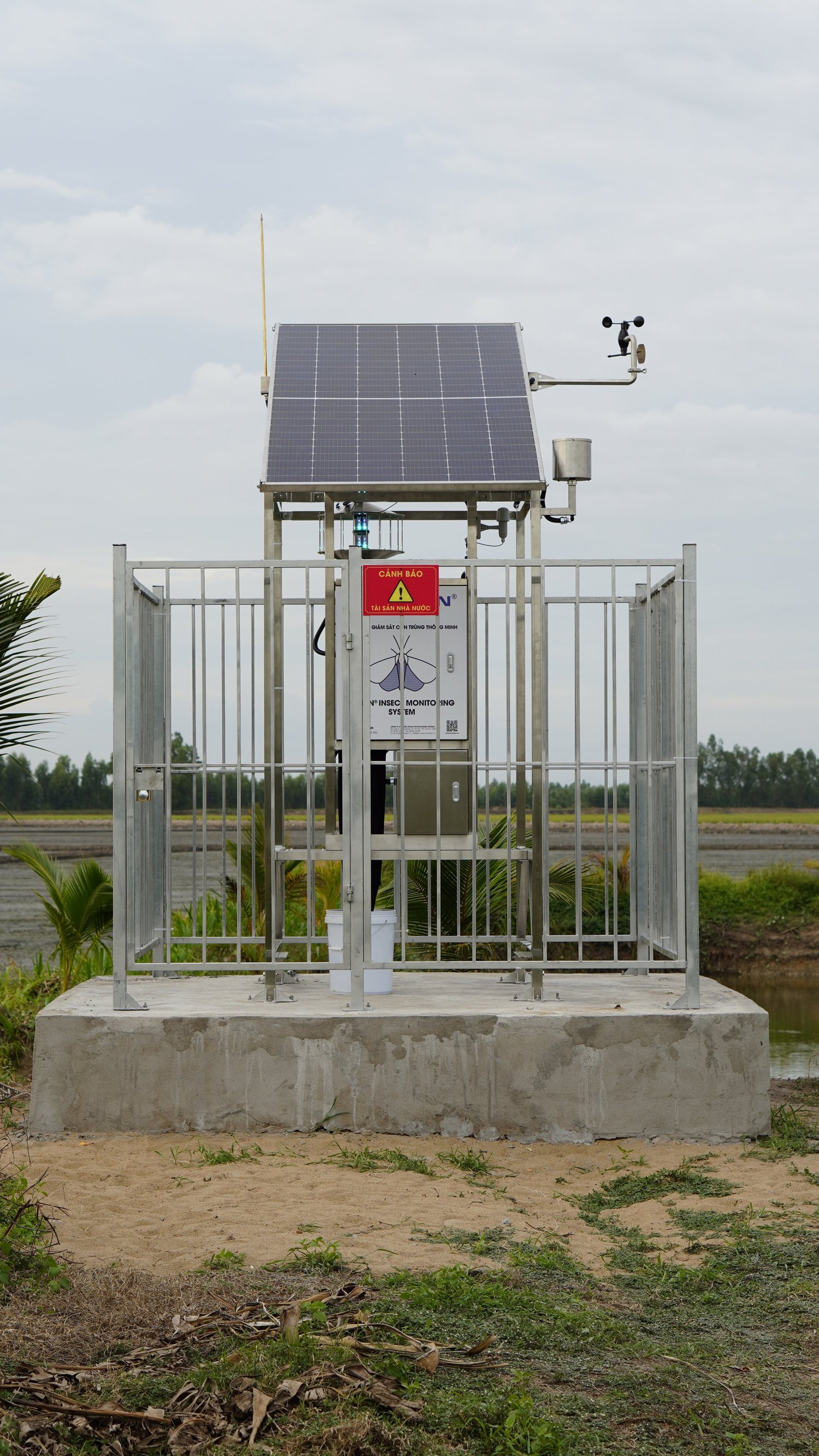 Automated Pest & Insect Monitoring System — RYNAN Agriculture