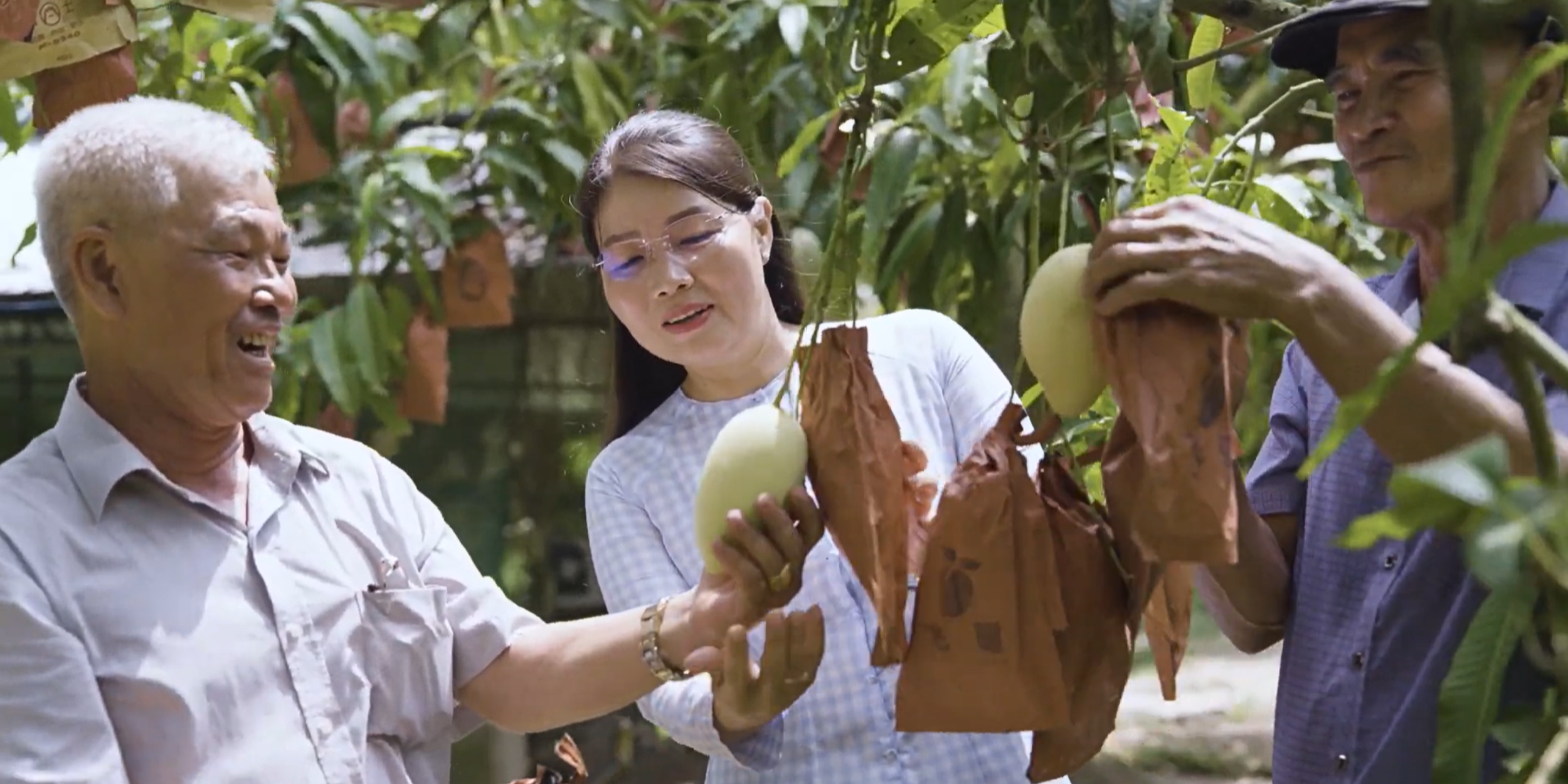 RYNAN Agriculture - Ms Dao and farmers in a mango farm in the Dong Thap Province