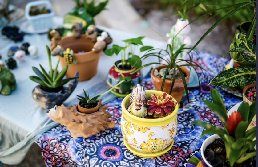 Thrive & Revive: A Self-Care Social