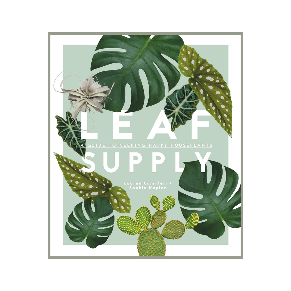 Happy Houseplant Book