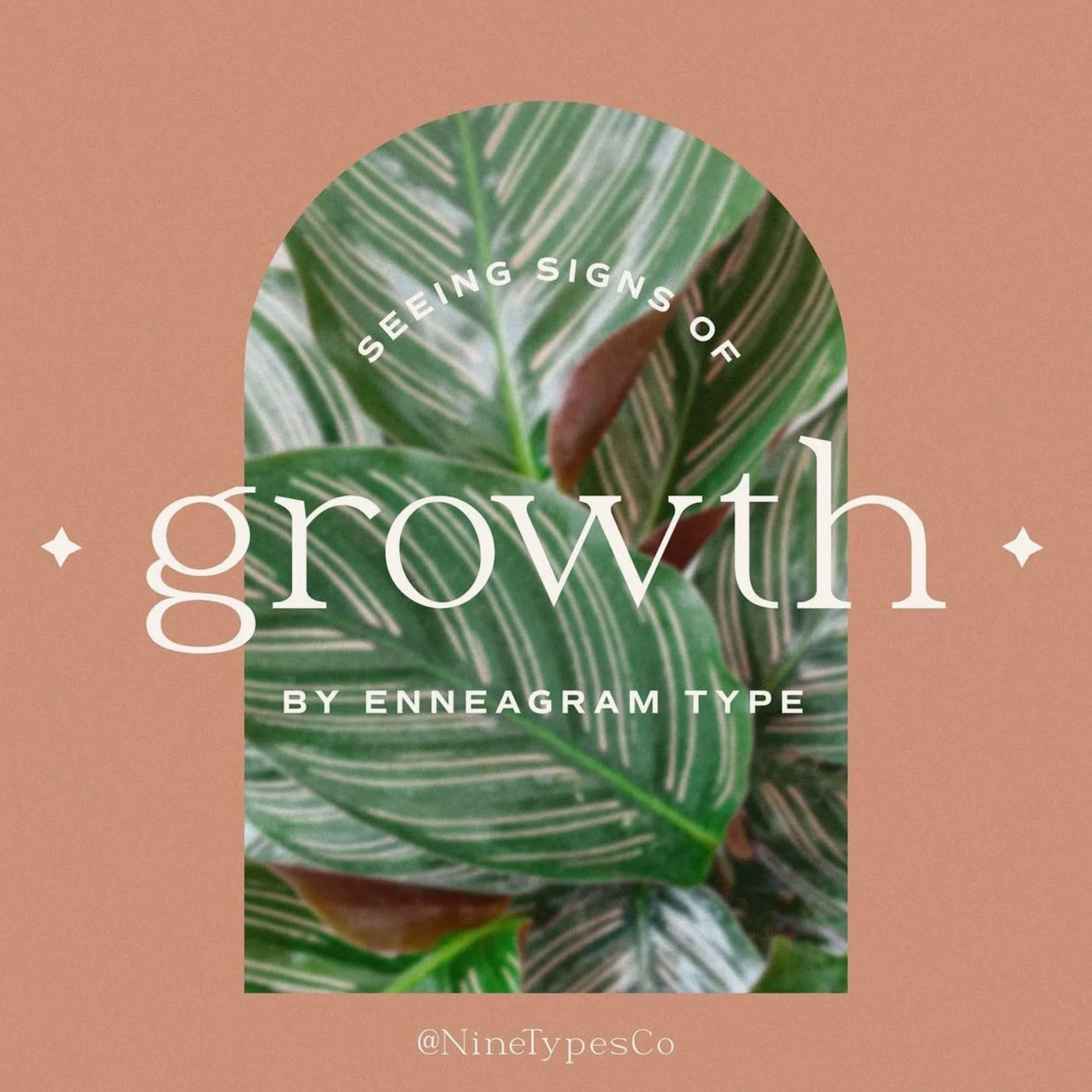Seeing Signs of Growth By Enneagram Type