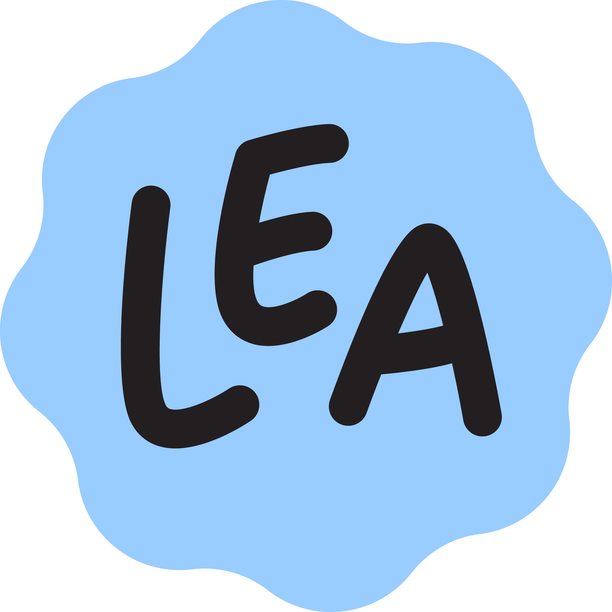 Lokale Energiearmoede Aanpak (LEA)