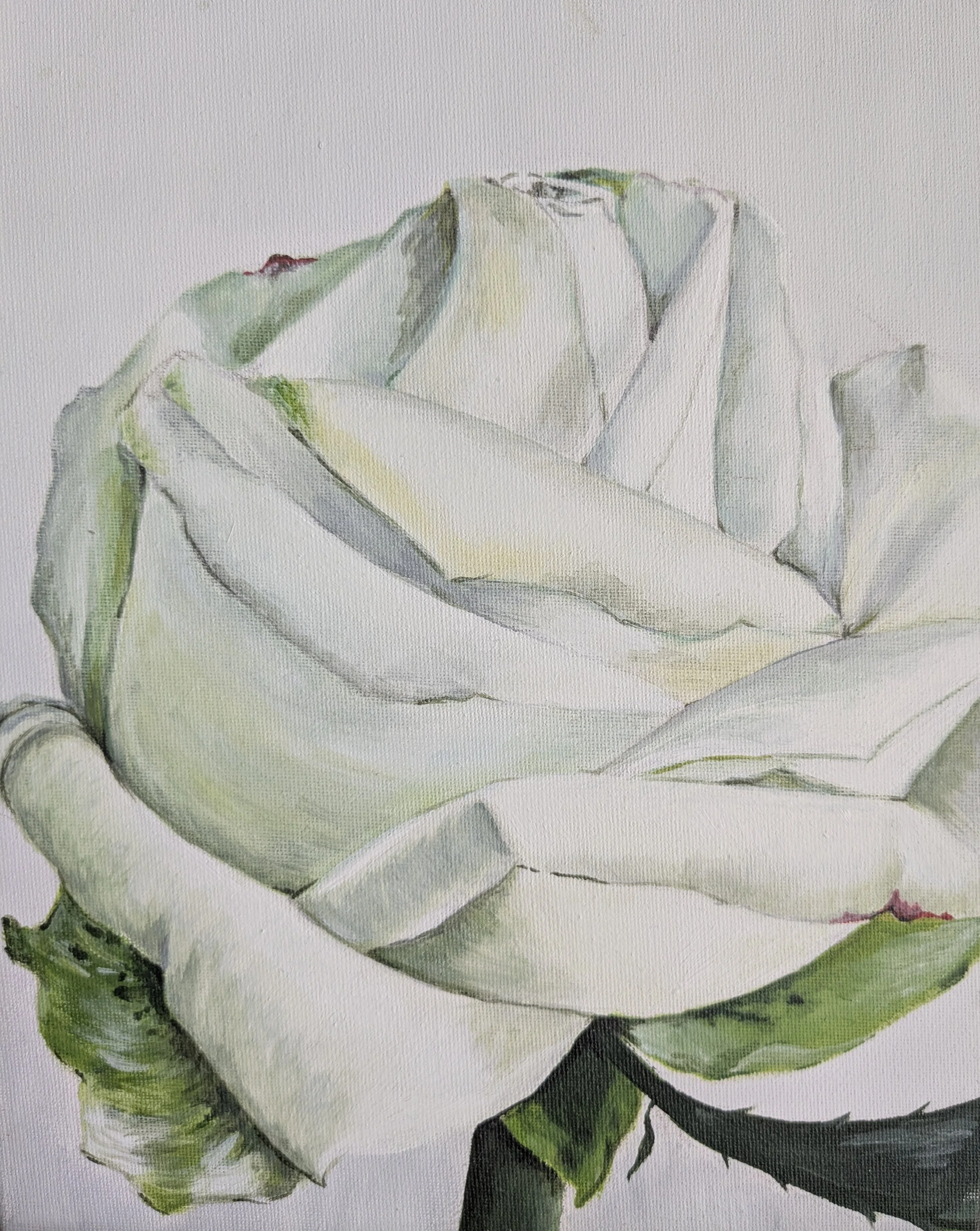 Rose.jpg