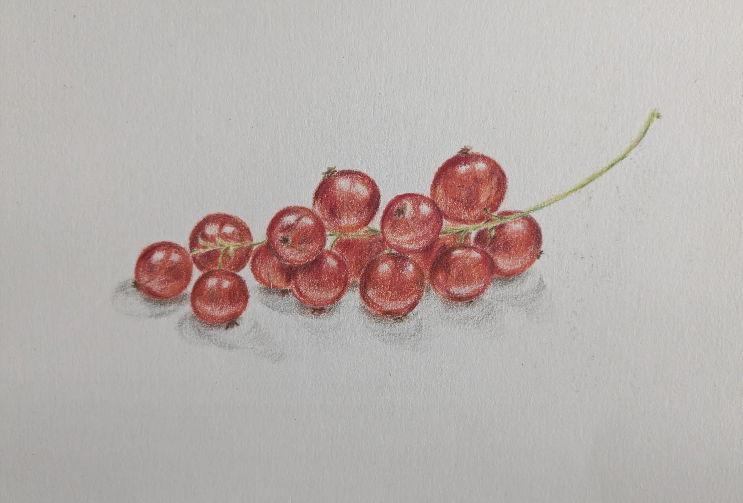 Johannisbeeren.jpg