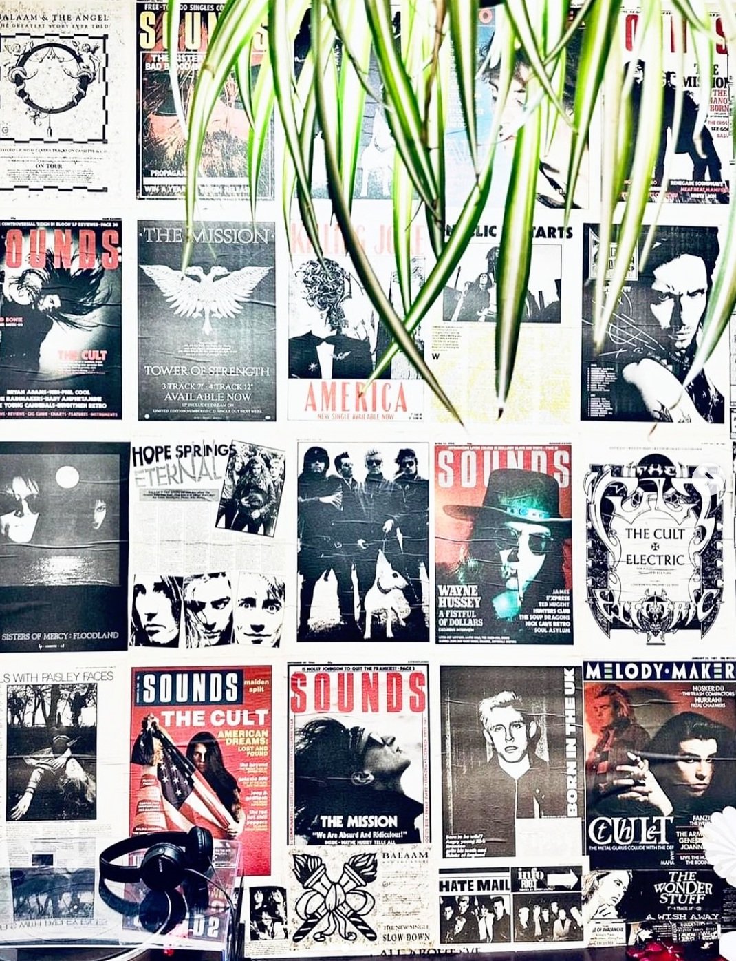 Chapter 22 Roots &amp; Records