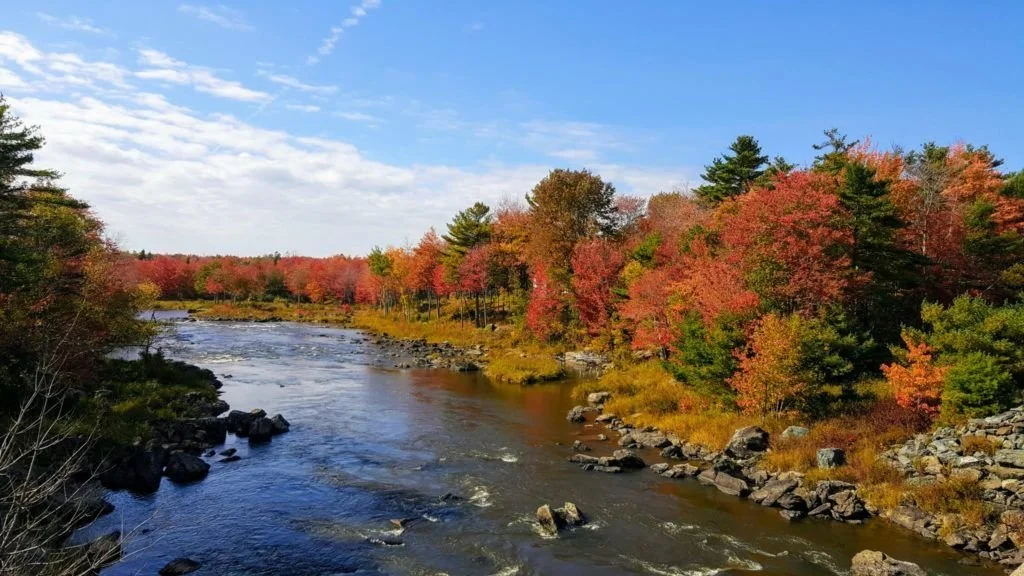 Union River.jpg