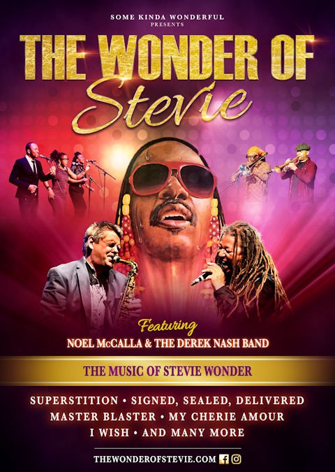 The Wonder of Stevie