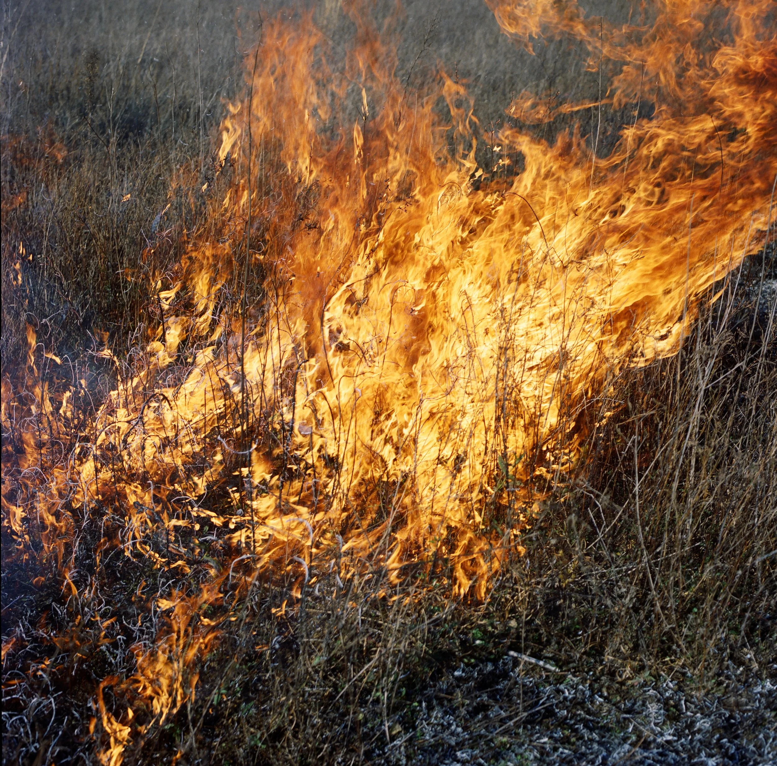 38 CCD - Daleside edit.JPG