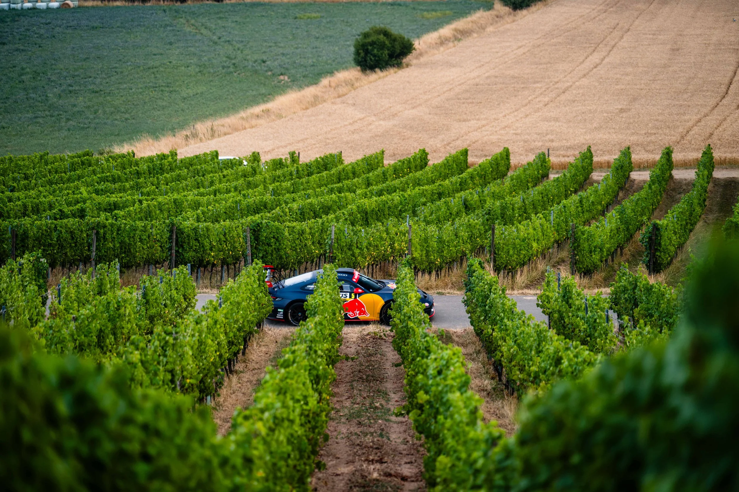 SK_260731_DRM_MITTELRHEIN_Kraft_w_0003.jpg