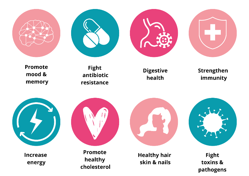 Do Probiotic Supplements Really Work? A Beginner's Guide