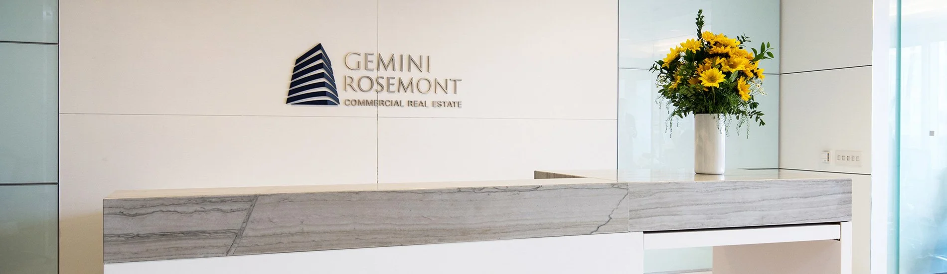 GEMINI PRIVACY POLICY intelligence overview