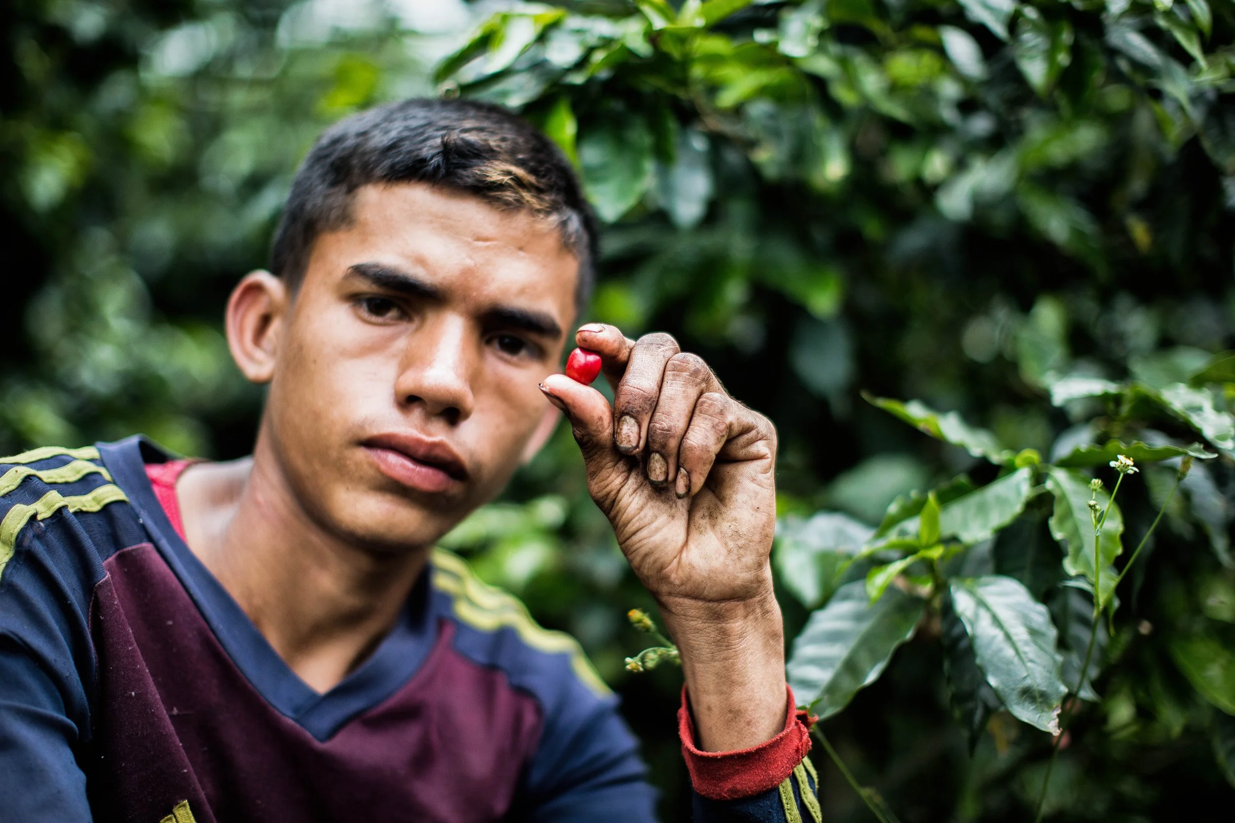 54. Recolector joven sostiene una cereza.JPG