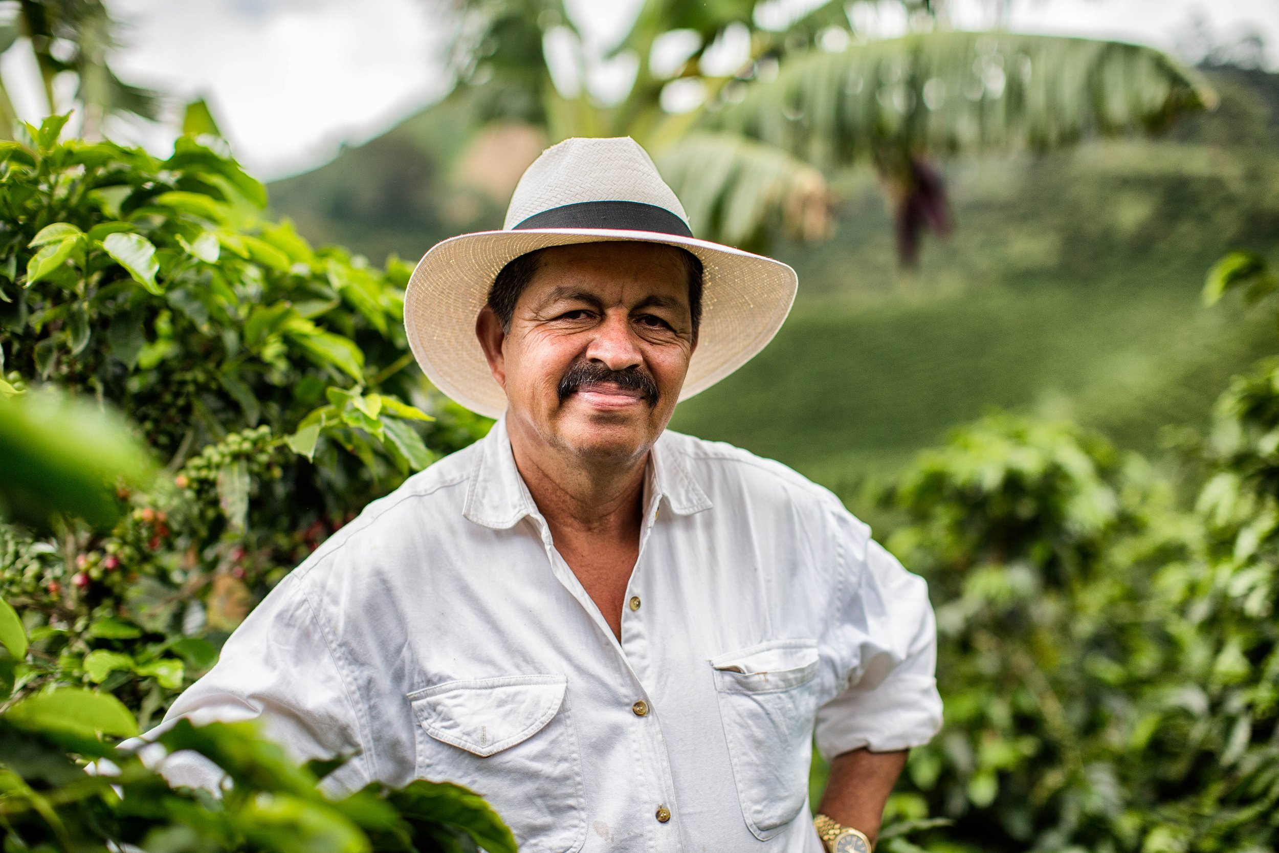 5. Administrador (P.M).JPG