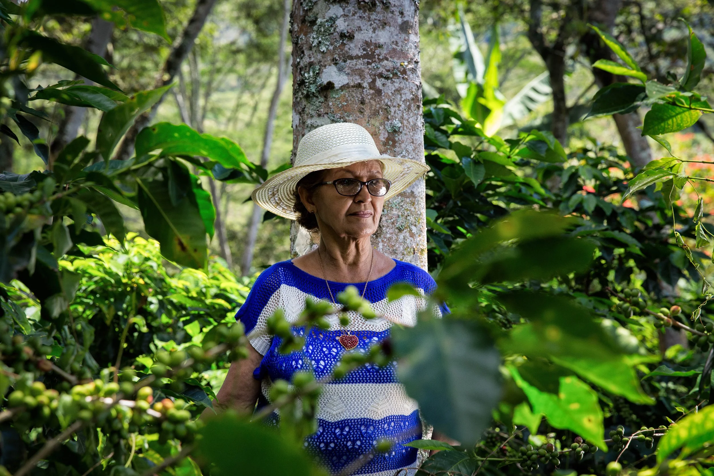 160. Mujer cafetera entre cafetal 2.JPG