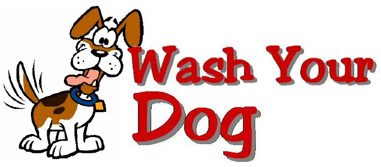 Wash Your Dog