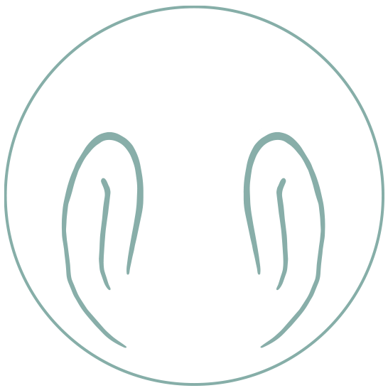 Online Focusing Proeverij | Hester Wijenberg