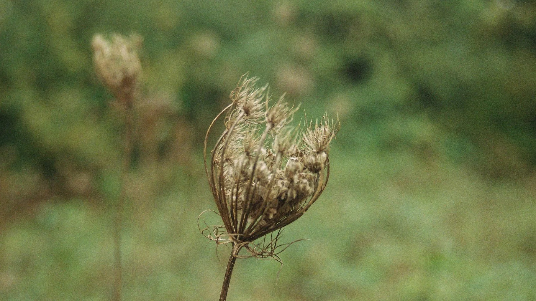 1. On Machine Learning