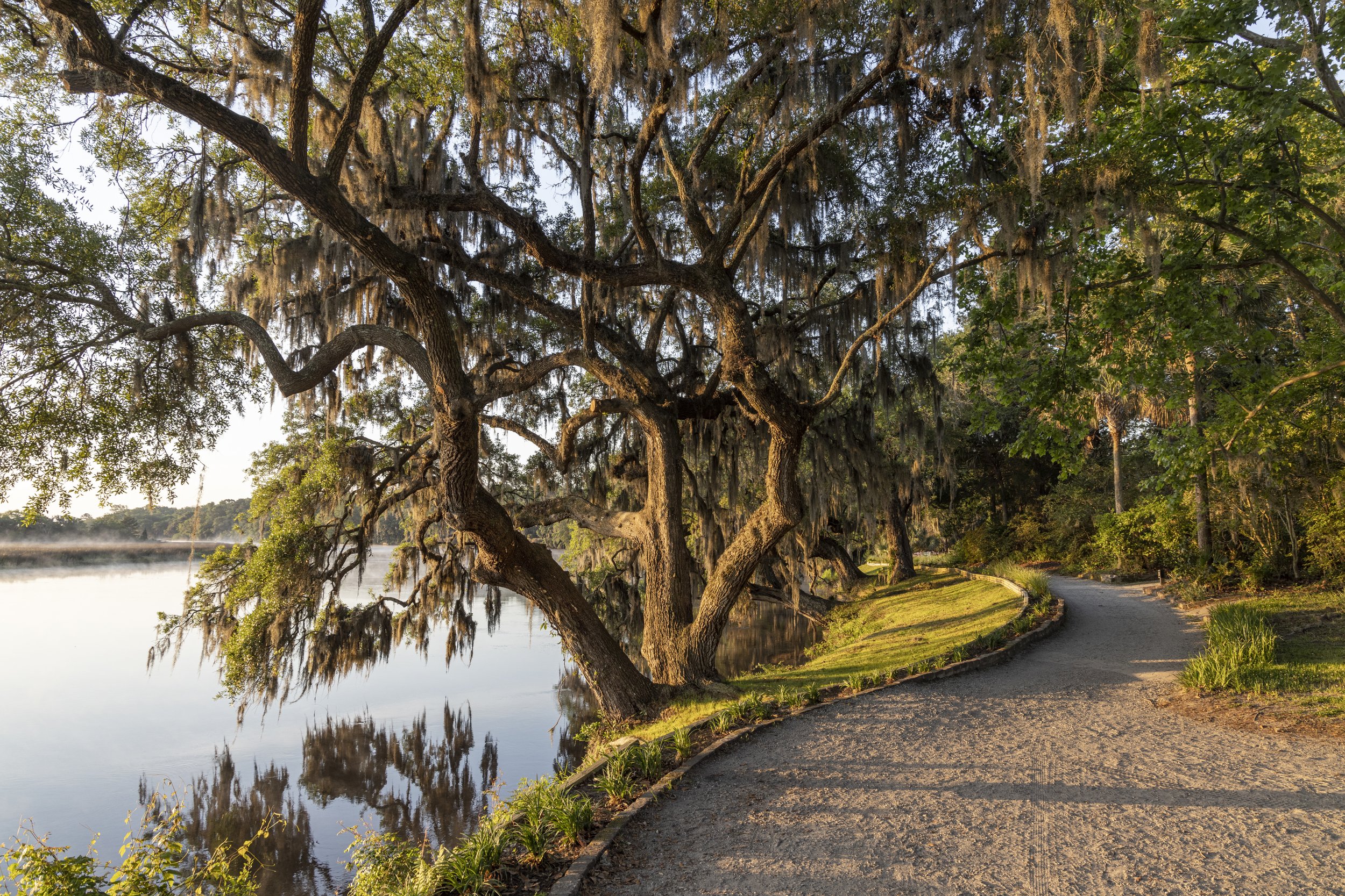 Indigenous History Along the Ashley River
