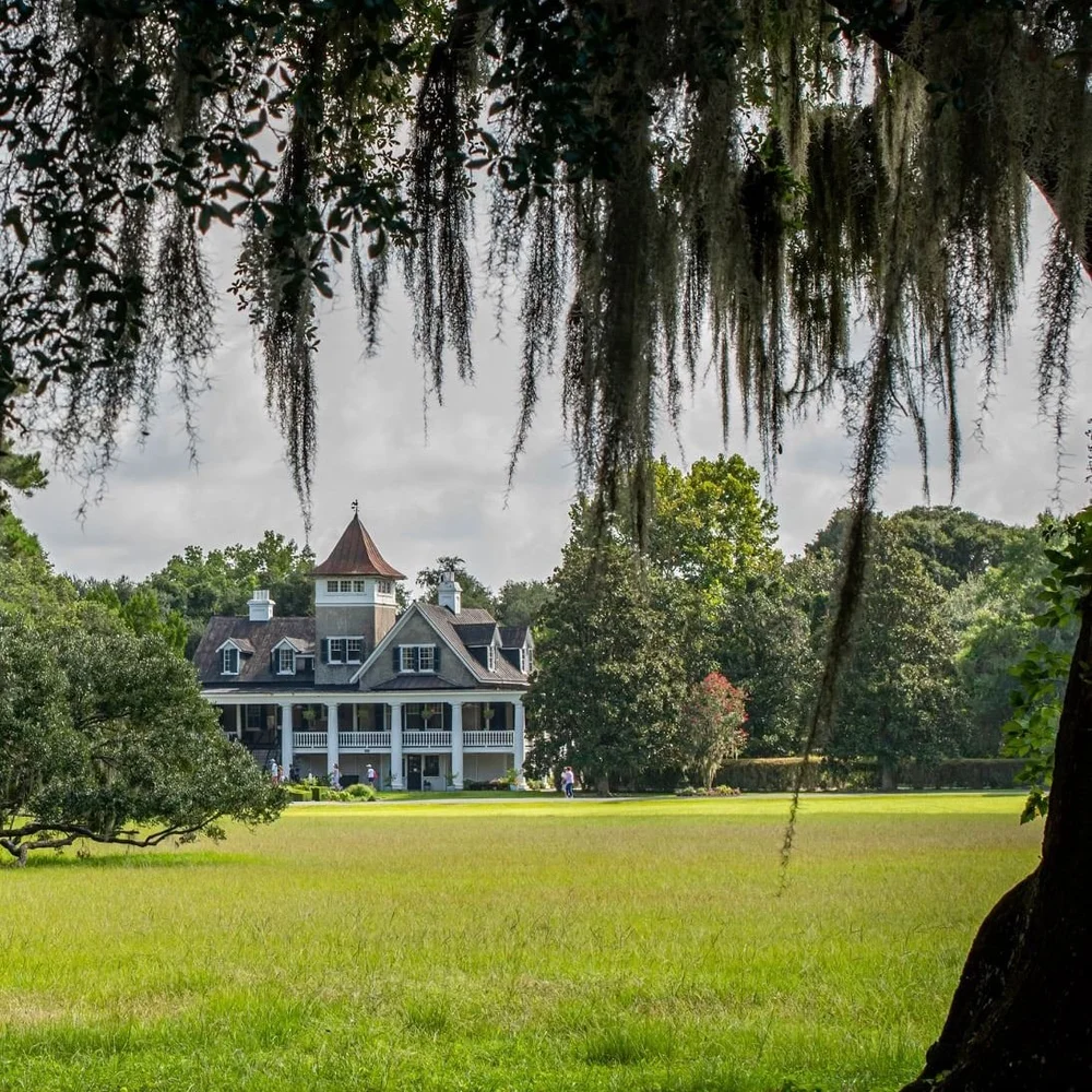 Visiting Magnolia Plantation Tours, Hours, Charleston Attractions