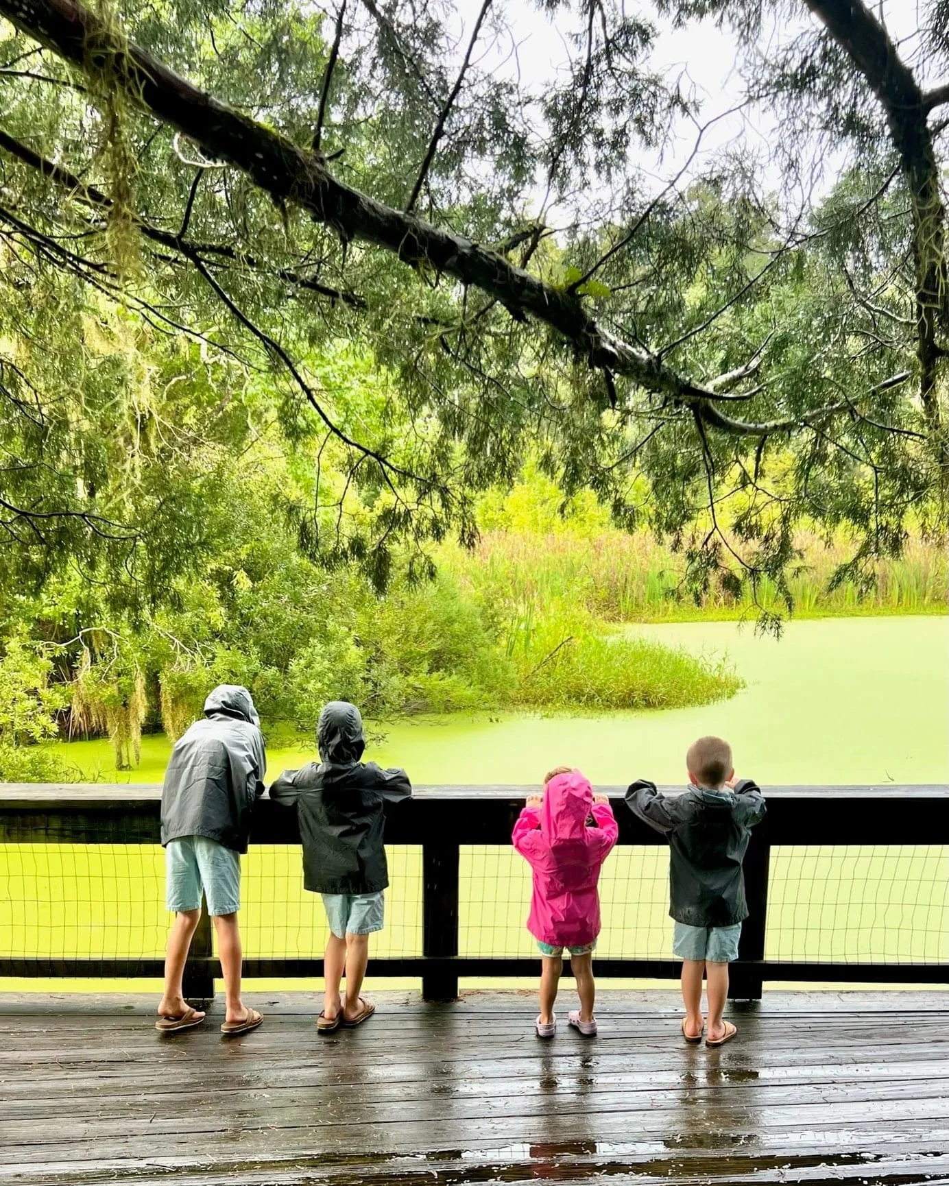 What's Happening — Magnolia Plantation & Gardens