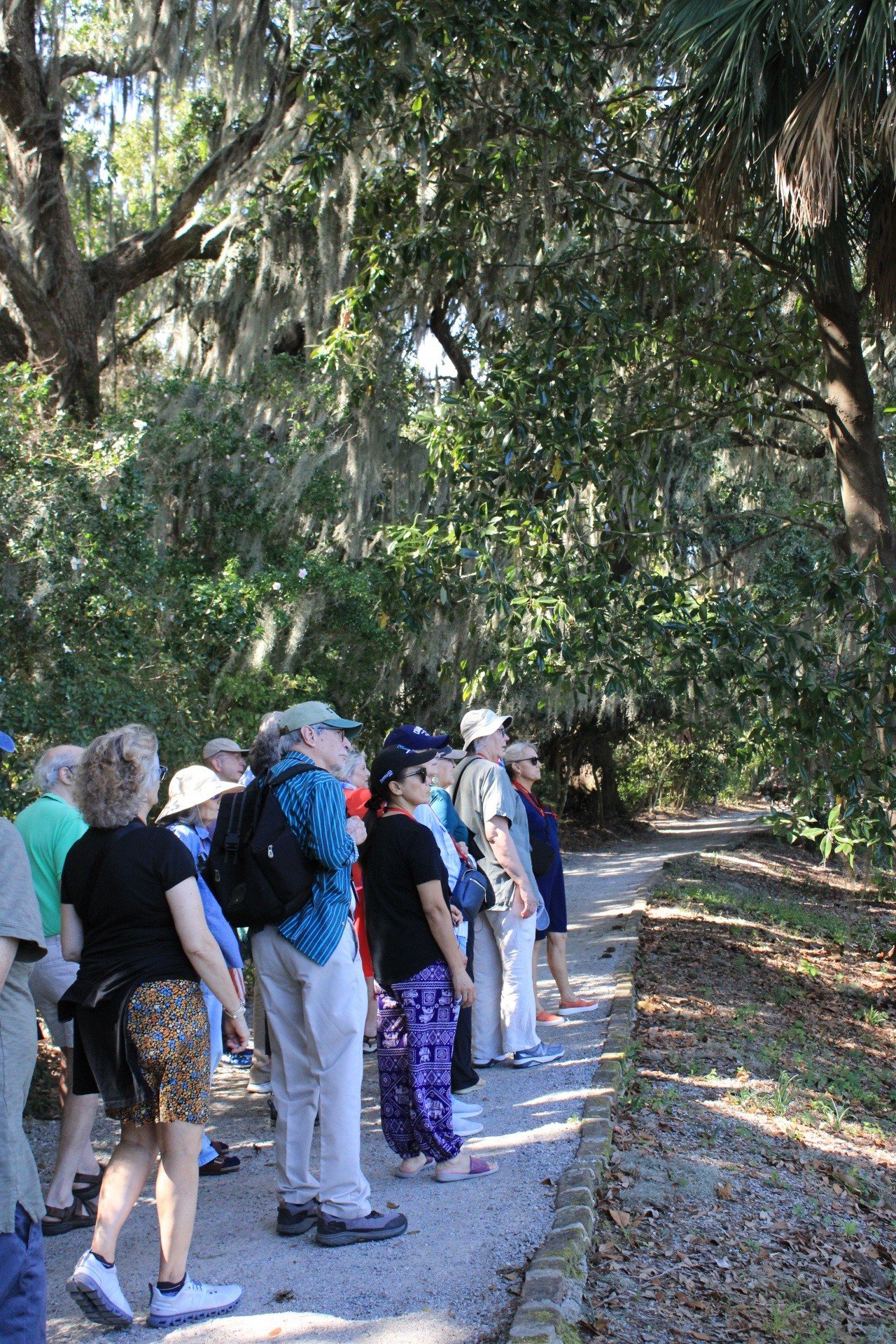 the bay canada birkenstock