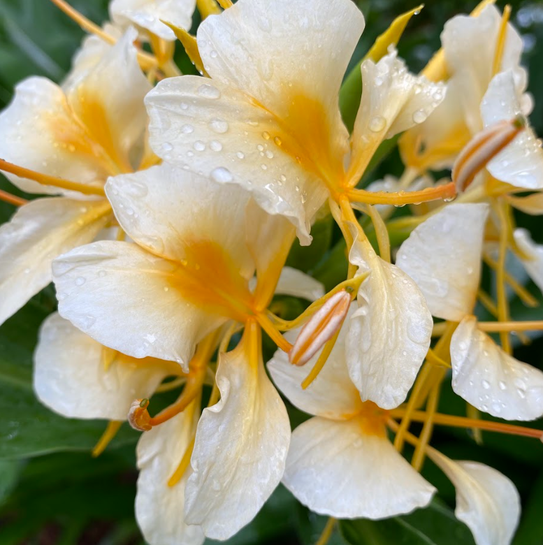 Screenshot 2026-01-26 131116.png