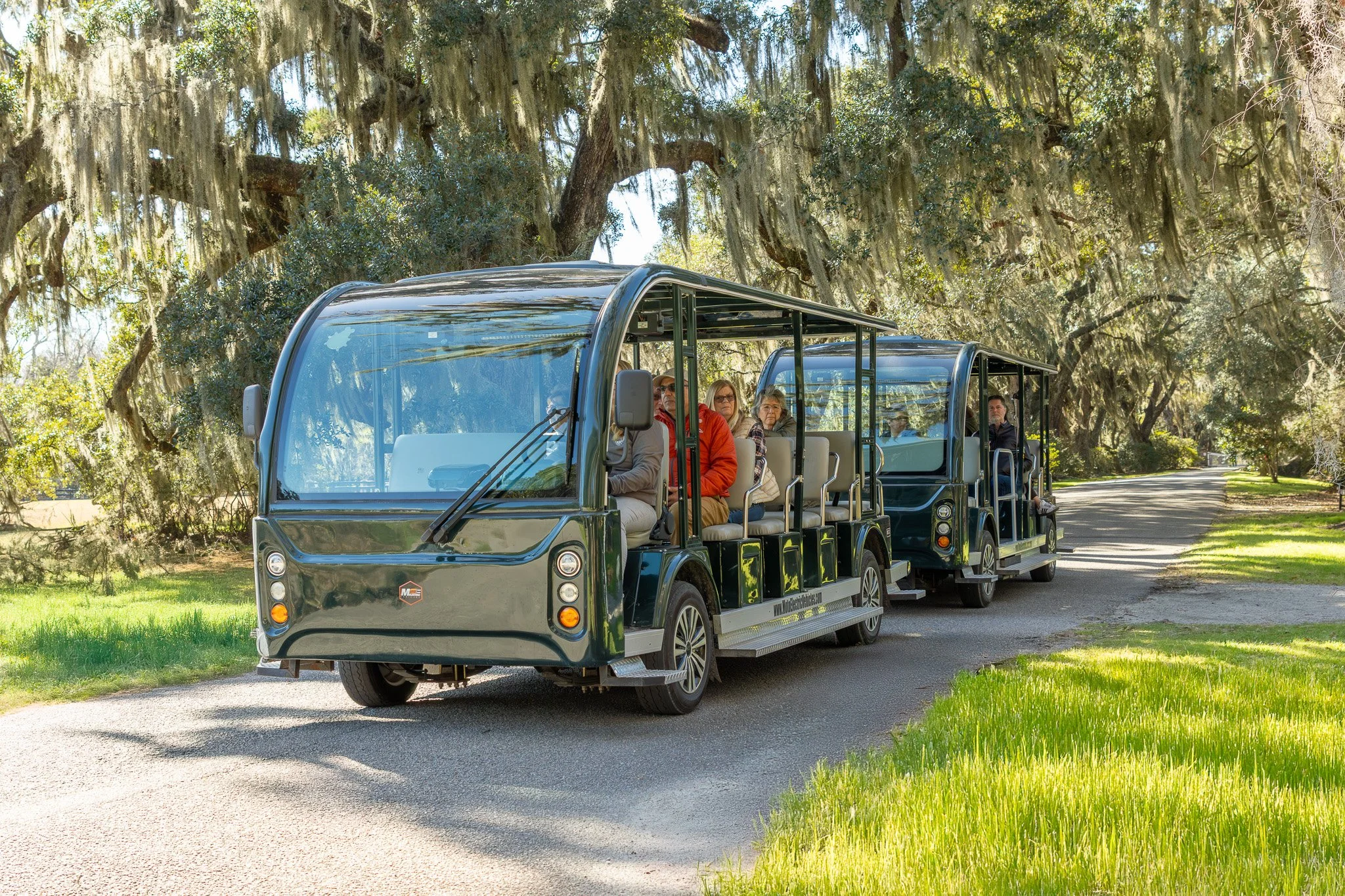 Sensory-Friendly Hour