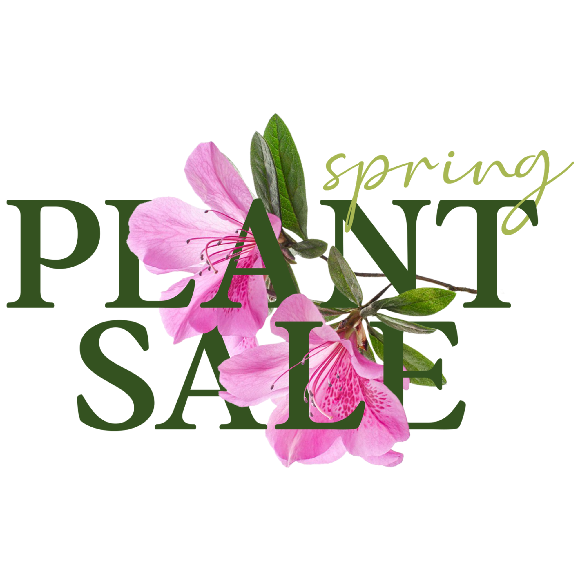 Plant Sale